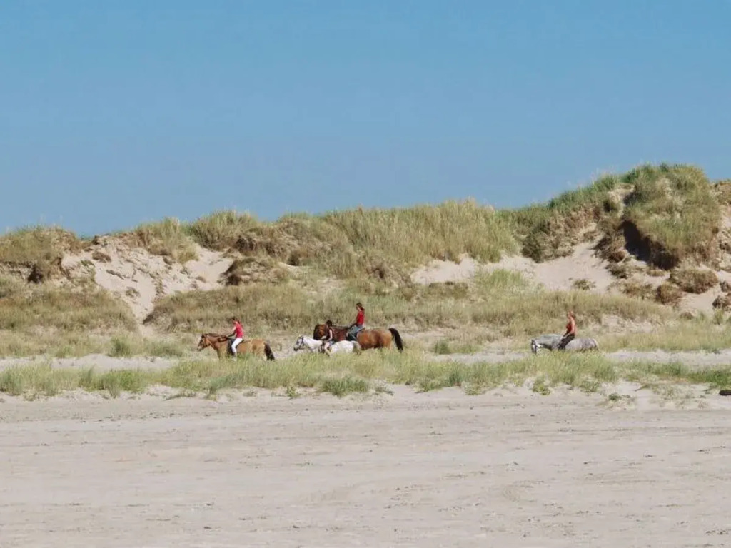 "Jenna" - 2.5km from the sea in Western Jutland
