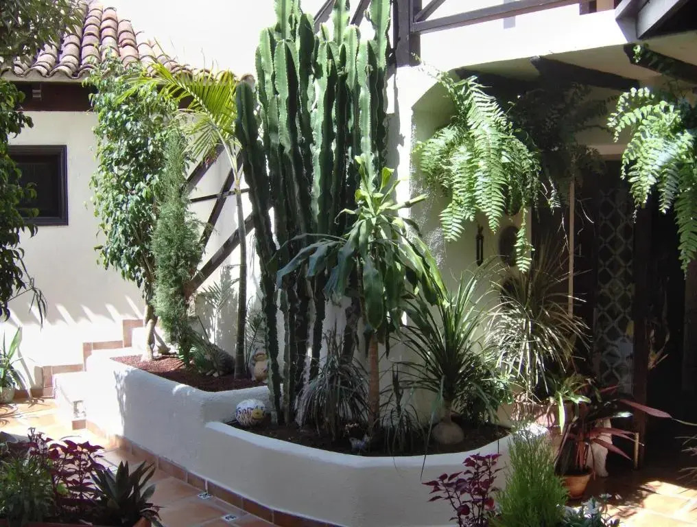 Kleines Studio mit Meerblick