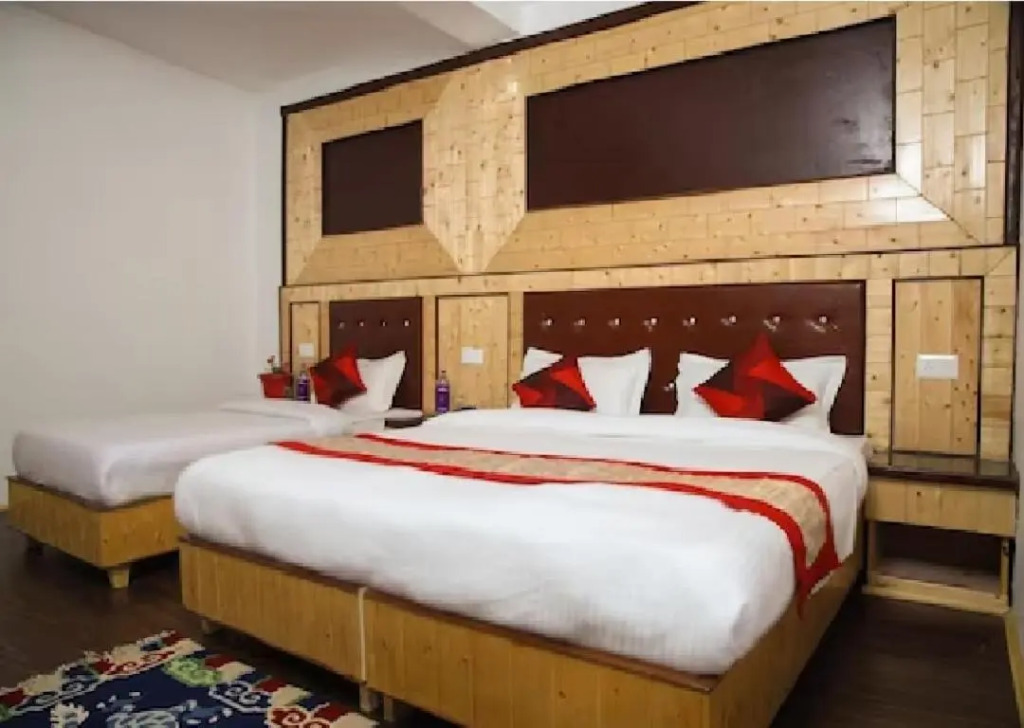 Hotel Nubra Residency - Hunder