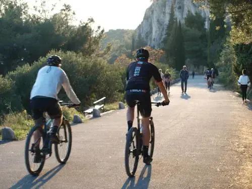 Apartment Come Back