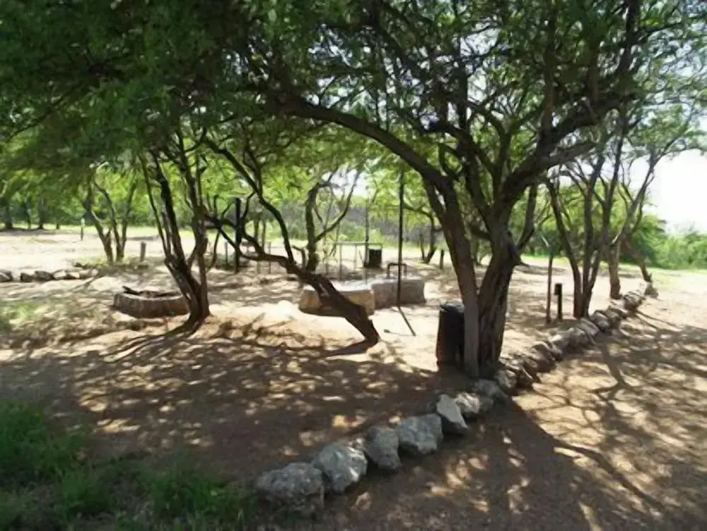 Sasa Safari Camp & Tours