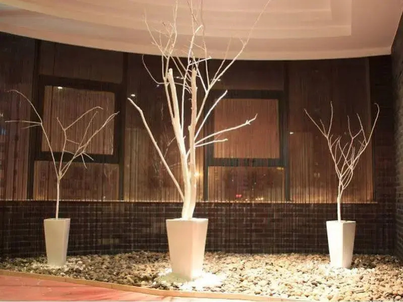 Baolong Homelike Hotel (Shanghai Xuhui)