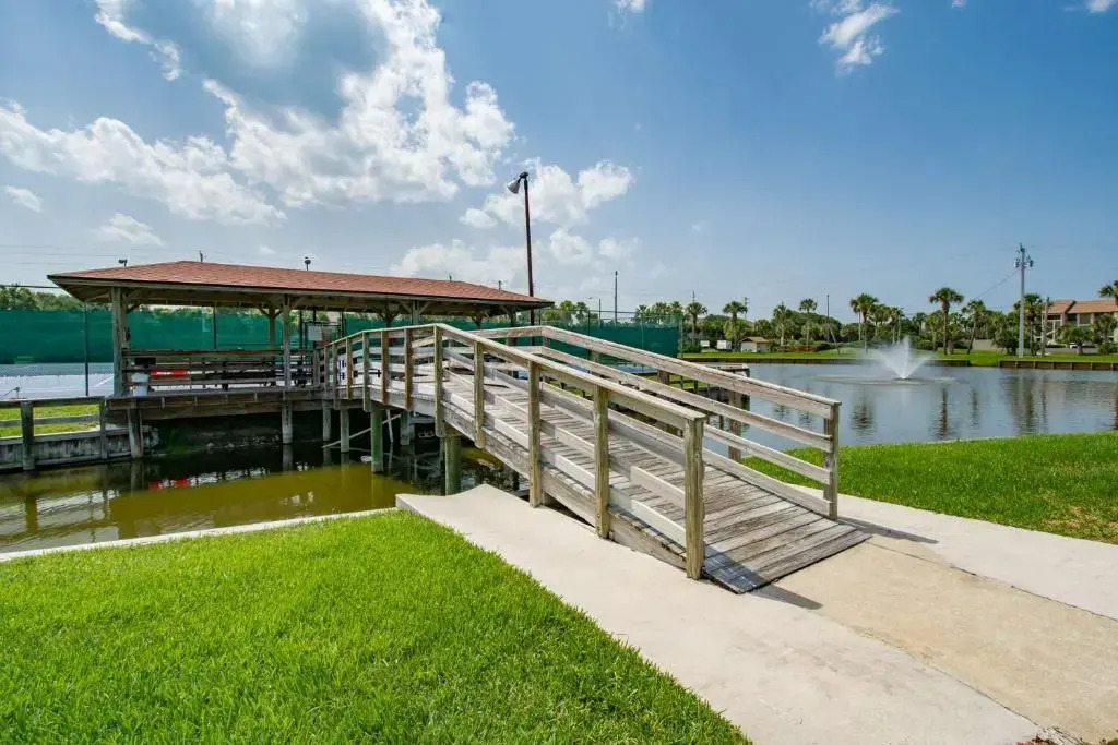 Ocean and Racquet #3116