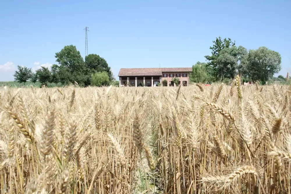 Agriturismo Ca Lealtà