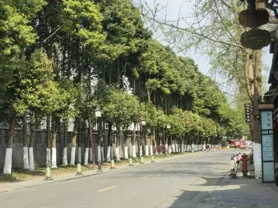 365 Boutique Homestay
