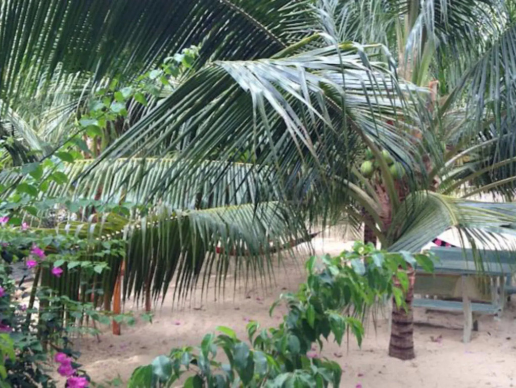 Cocosand Hotel