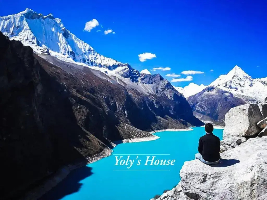 Yolys House