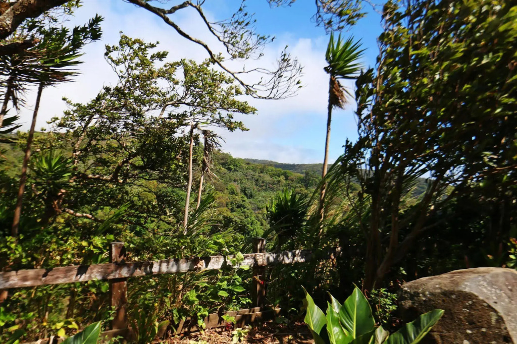 Hotel Las Orquideas