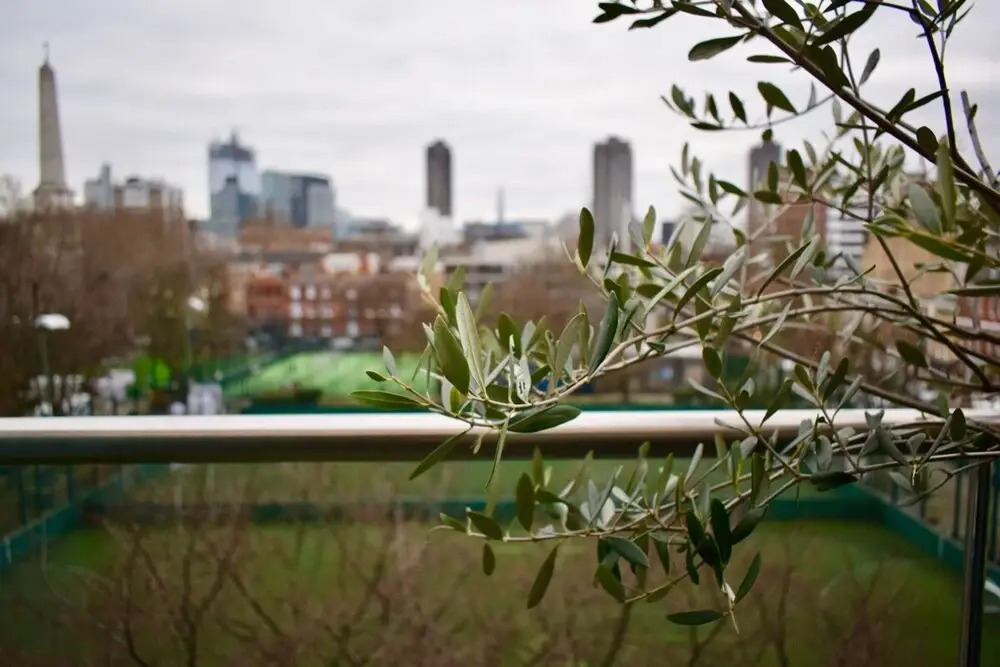 Stylish 1 Bedroom With Stunning City Views