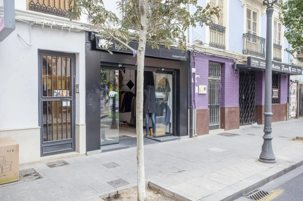 ATICO RUZAFA Centro Ciudad pet friendly