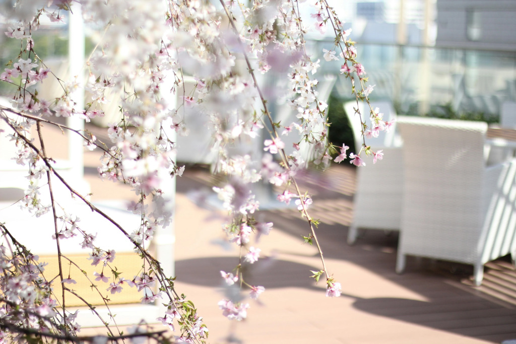 THE KITANO HOTEL TOKYO