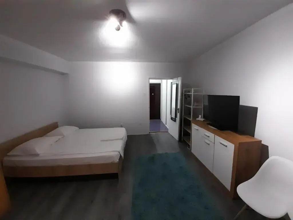 Bega Circumvalatiunii 1 Room Apartment