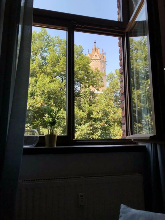 back to school (rote Schule)