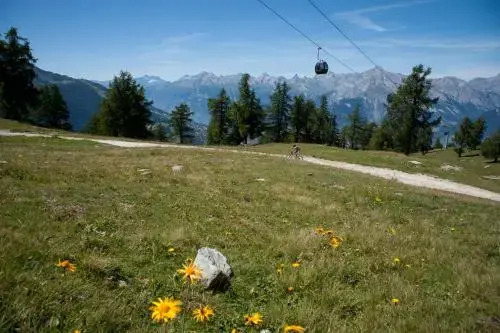 La Crettaz app dans chalet - SUNNY apartment 6 p