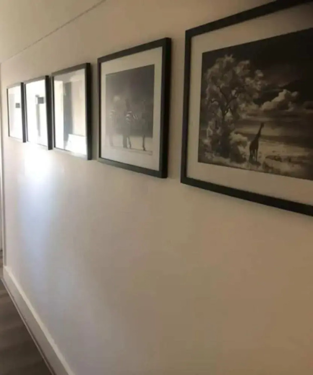 Renovated 1 Bedroom in Paddington