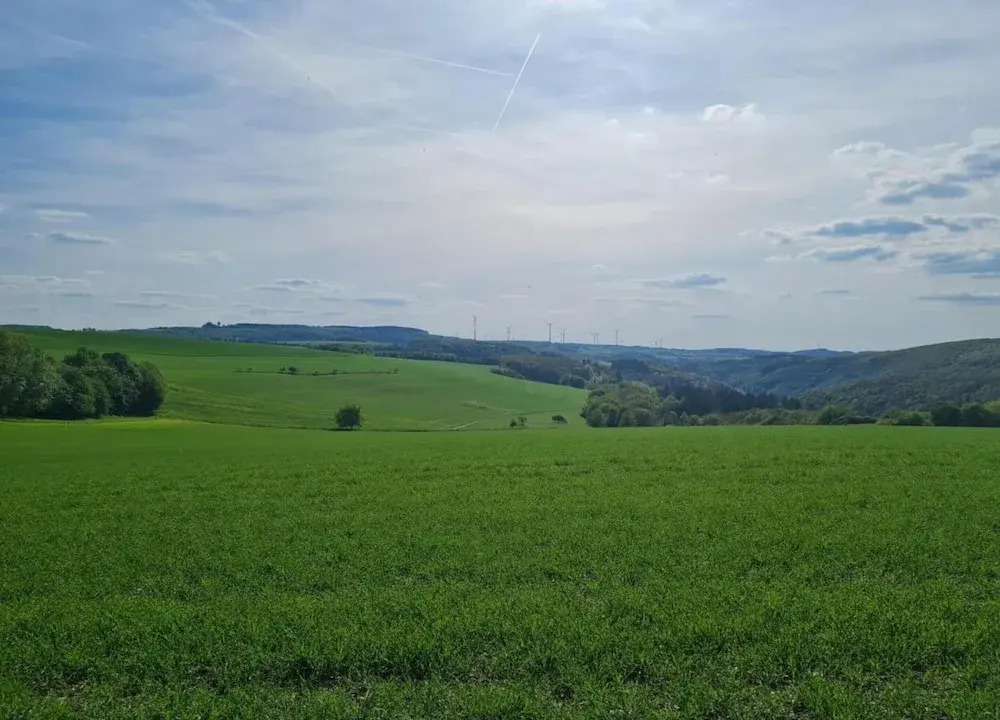 Sehr schöne Ferienwohnung in Filz in der Eifel mit Grill