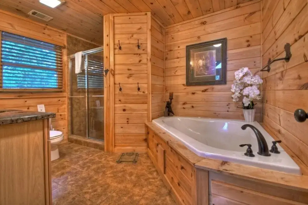 The Lone Star Cabin