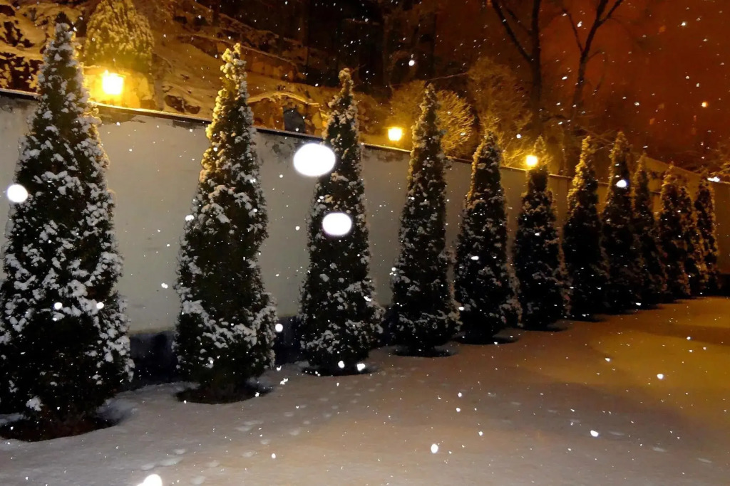 Park Avenue Hotel Yerevan