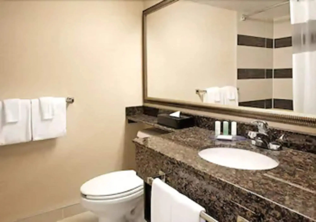 Comfort Suites Downtown