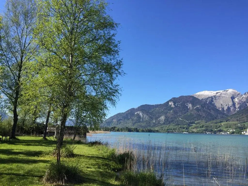 Appartements im Forsthaus Wunderbar ruhige Ferienwohnungen in Strobl am Wolfgangsee im Forsthaus