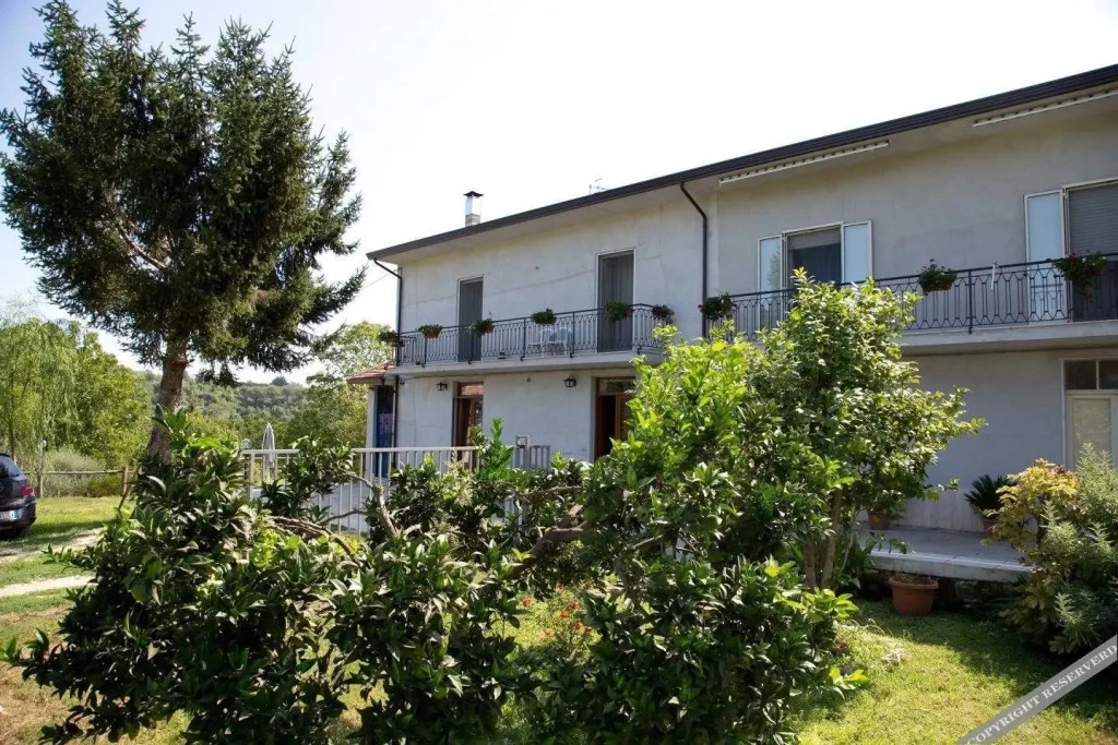 Il Moro Bianco