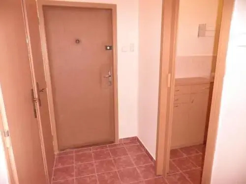 flat 18 minutes from Vaclavske namesti