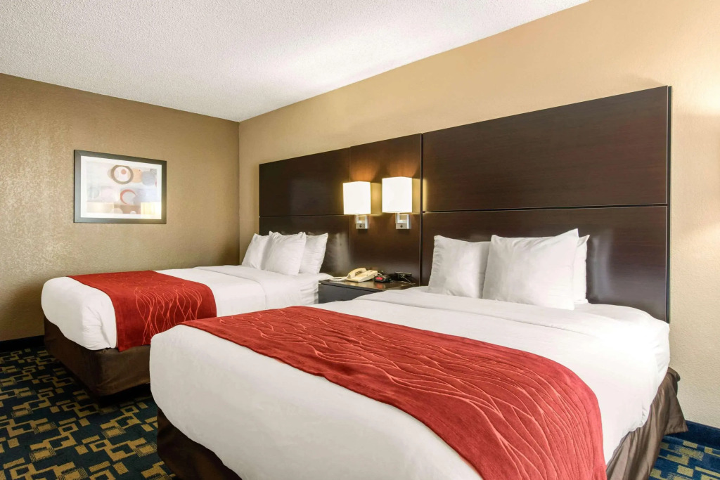 City Express by Marriott Orlando International Drive