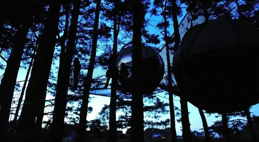 Les Nids du Parcabout