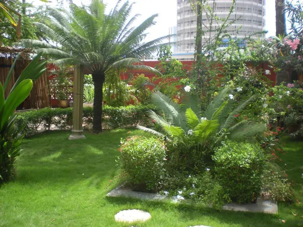 ROBINSON PLAGE Appartement
