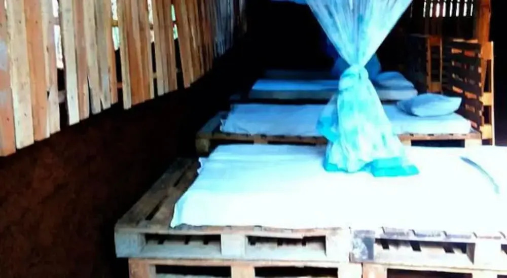 Yoho Mango Tree Home Stay & Hostel