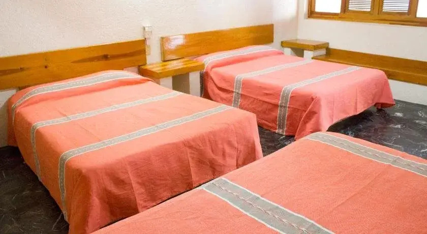 Hotel Avenida Ixmiquilpan