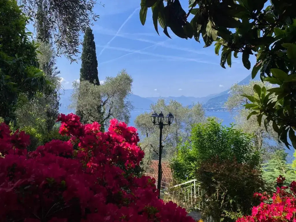 Varenna Wonders, Villa con barbecue e piscina comoda per 13 ospiti