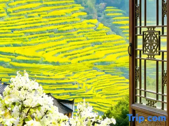Yilan Xiaozhu·Villa Autumn Drying Resort