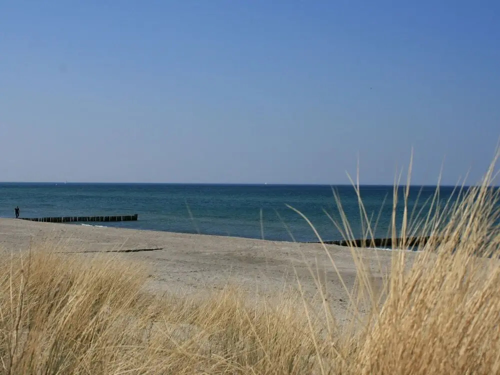 Exclusive Holiday Home in Rerik Mecklenburg With Terrace