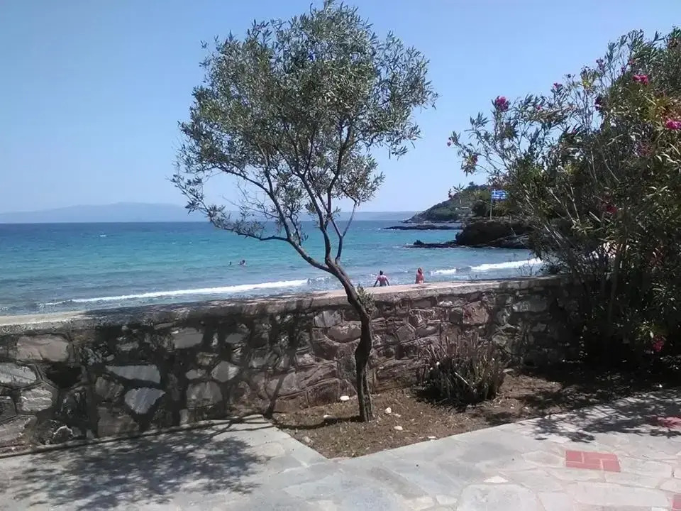House Kokkalas on the beach
