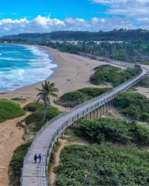 Palmeras Del Mar