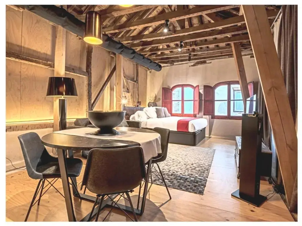 Casa Palacio Rodrigo de la Fuente by Príncipe David - Seis Apartamentos de Lujo
