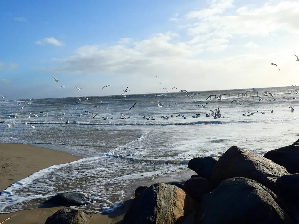 4 Person Holiday Home in Blavand