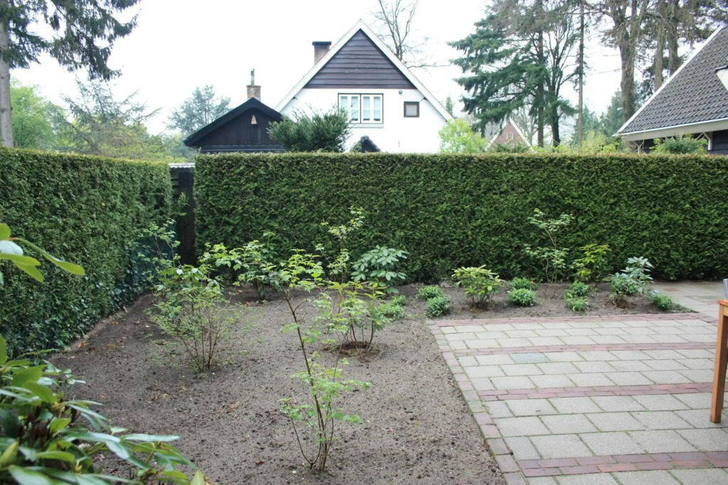 Het Roodborstje