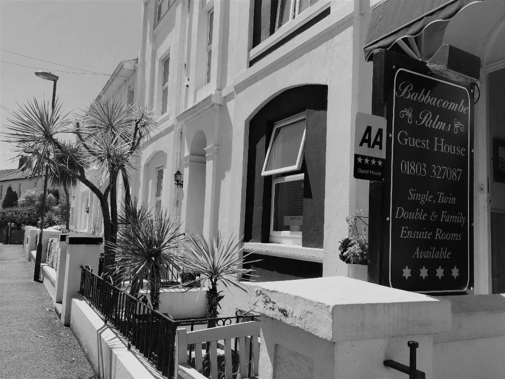 Babbacombe Palms