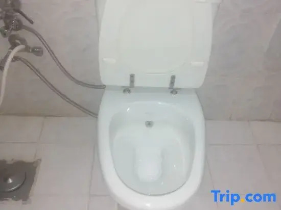 Loyality apartment