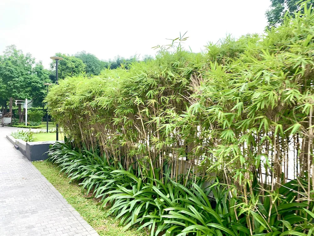HKG-Vinhomes Green Bay Luxury-Private
