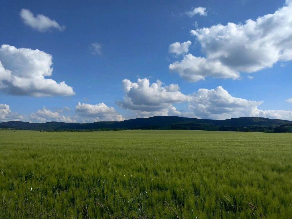 Ferienhof-Kühn