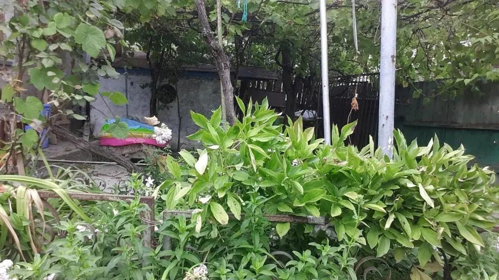 Holiday Home On Saakadze 46