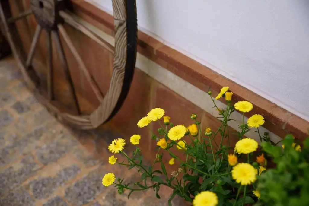 Hostal Rural Santa Habitaciones Aldea del Rocío