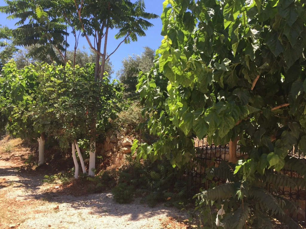 Olympos Mocamp