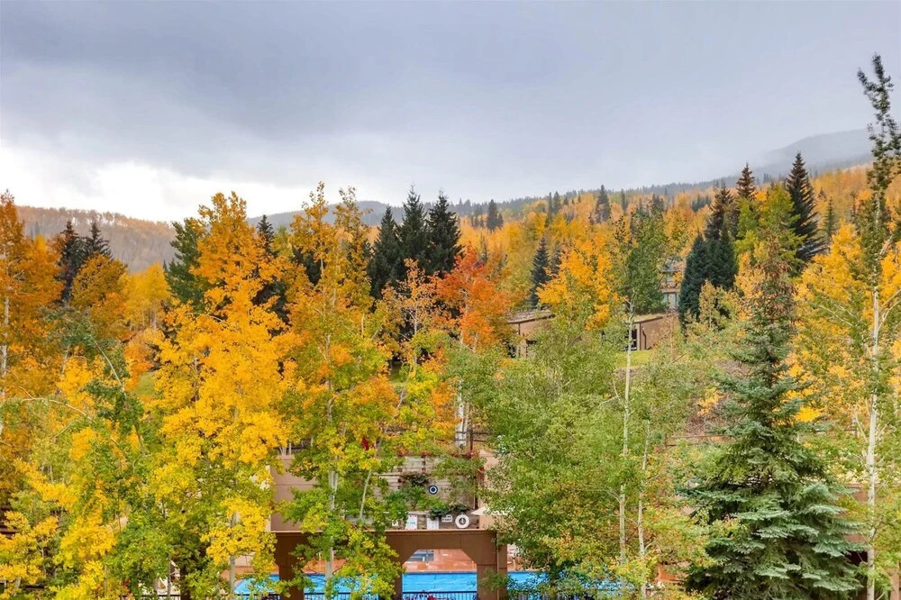 Snowmass Woodrun 9946