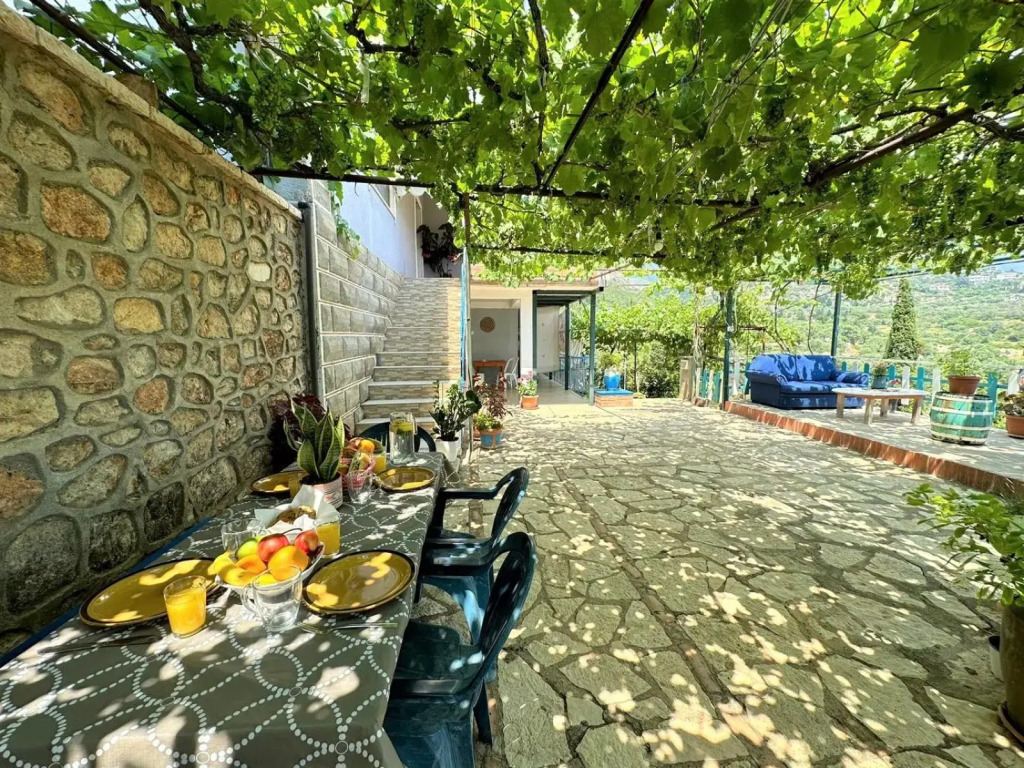 Boungainvillea