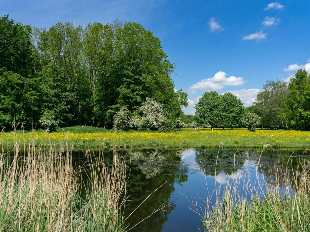 Well-maintained chalet on the outskirts of a holiday park, near Amsterdam