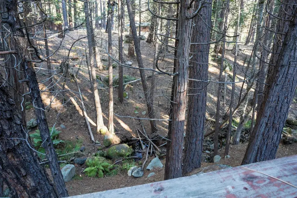 Pine Creek Cabin